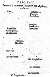 Fig3-Lamarck1809-from_WikimediaCommons