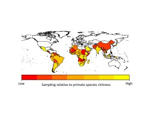 Sampling effort for primate parasites across the world. Poorly-sampled countries are in red, and better sampled countries are in yellow.