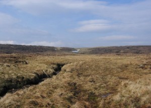 Peatlands_-_geograph.org.uk_-_6592