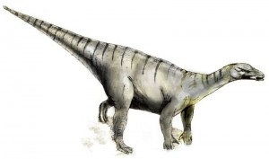 Bekaert's Iguanodon - 1995
