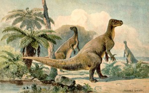 Harder's Iguanodon - 1916