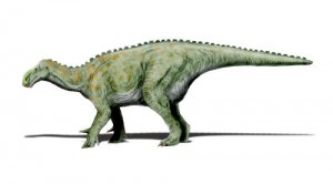 Tamura's Iguanodon - 2012