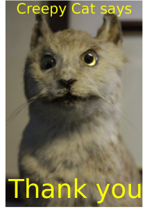 Creepy cat does not like taxidermists