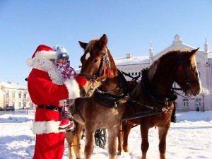 ChristmasAnimal