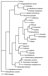 Kay.et.al~2008-Fig21