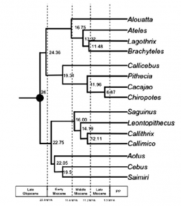 Opazo.et.al~2006-Fig5