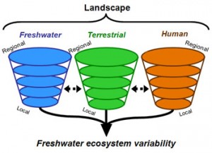 landscape limnology