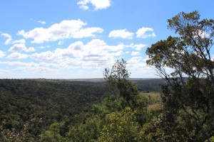 Ambohitantely forest surrounded by central plateau grassland