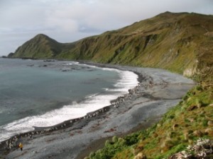 MacquarieIsland