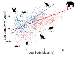 longevityGraph