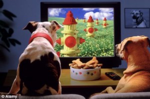 dogs watching tv
