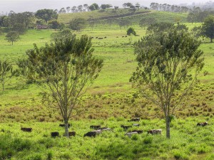 1280px-Cavernas_venado-28