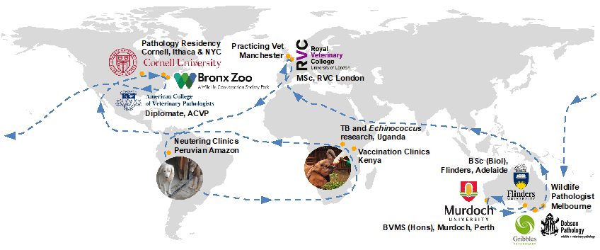 Map showing the research career of Dr Liz Dobson, in veterinary and wildlife work