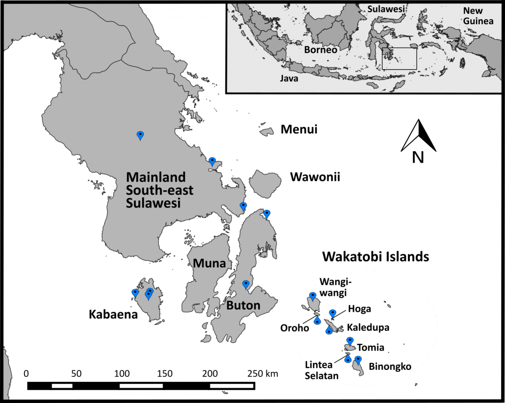 Map of Olive-backed Sunbird sampling locations in Southeast Sulawesi, Indonesia
