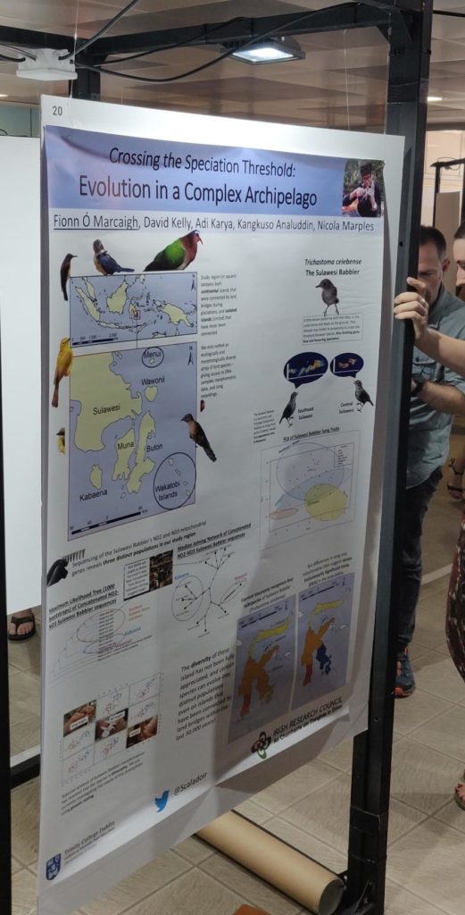 Poster on the birds of Sulawesi, presented by Fionn Ó Marcaigh at the Island Biology 2019 Conference