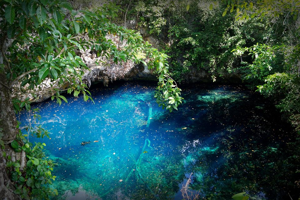 Karstic hole on Menui Island, Sulawesi