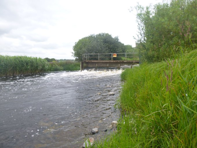  The discharge at the West Offaly Power Plant  Warming water benefits invasive clams