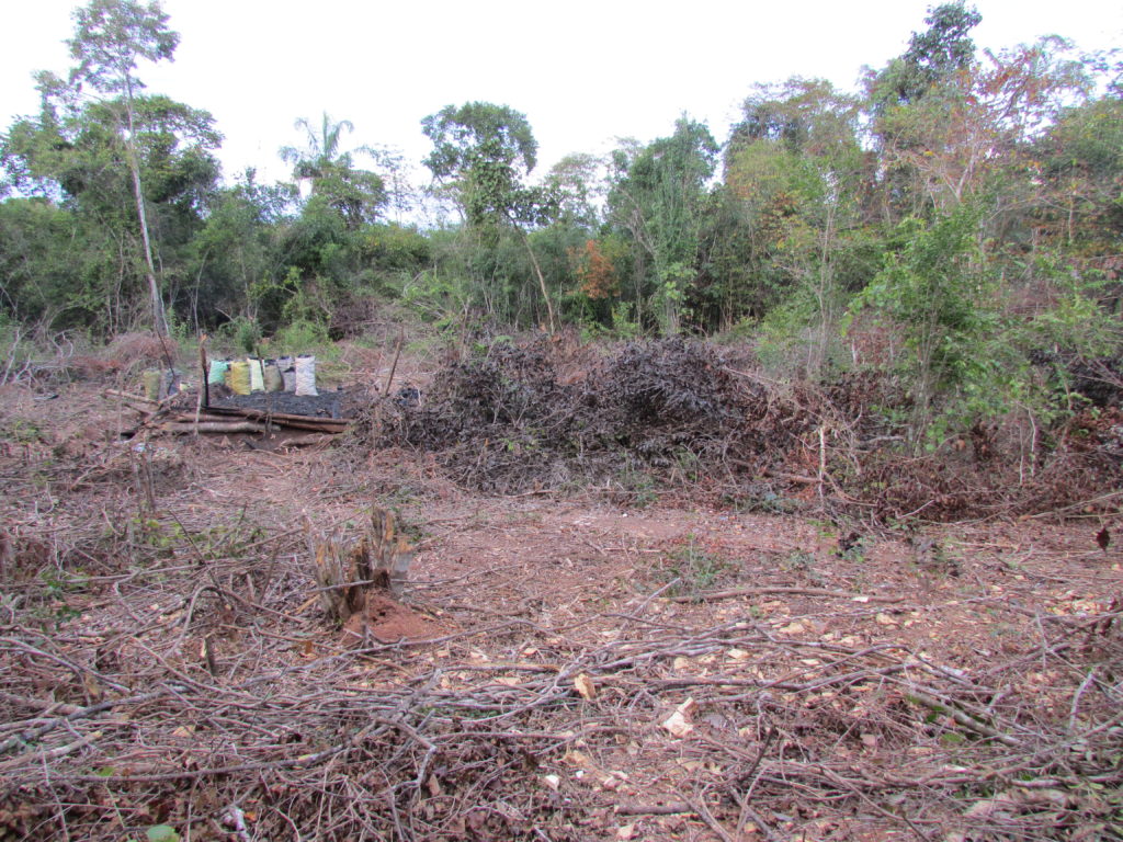 A patch of dry forest near Mariarano that has been felled to produce charcoal.