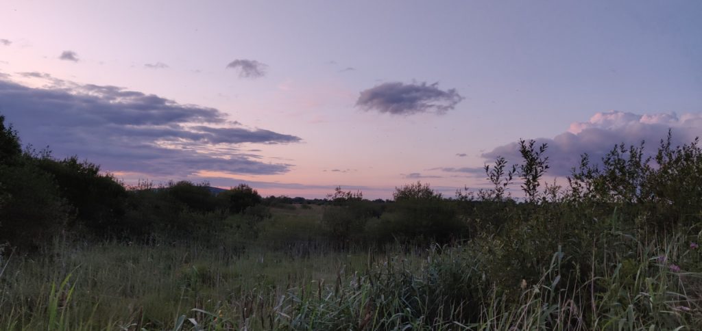 Sunset in Pollardstown Fen, the setting of this Ecofiction piece