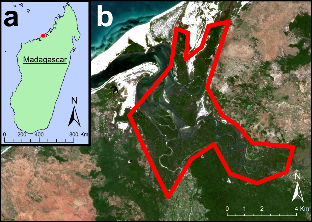 Map of Ankobohobo Wetland, an Important Bird Area in Madagascar