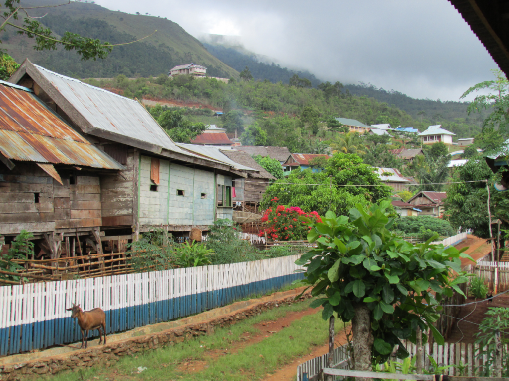 Tangkeno village on Kabaena island, one site where we sampled Sulawesi babblers for our sexual dimorphism research