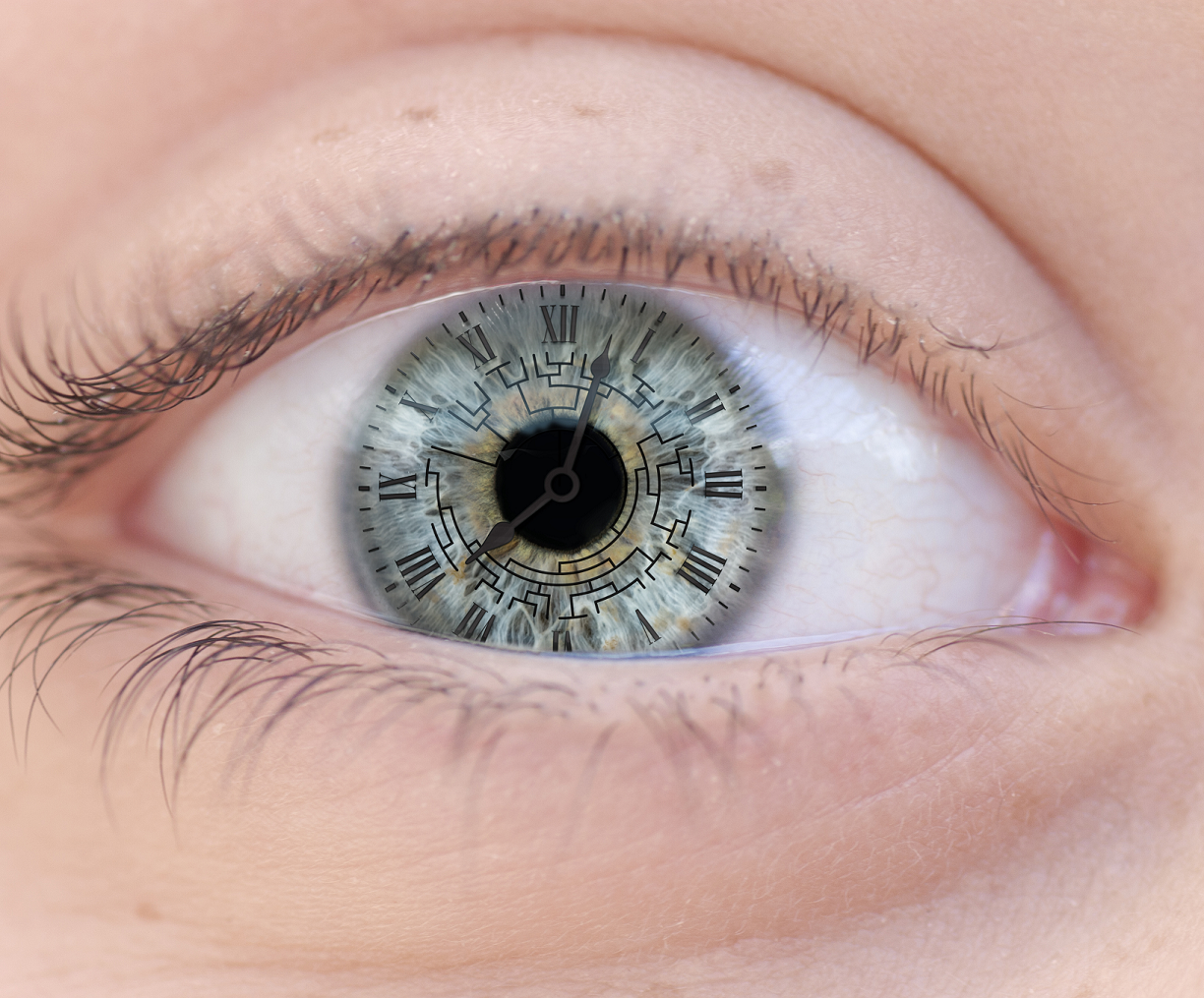 Глаз человека цена. Кератоконус факичная линза. Факичная интраокулярная линза.