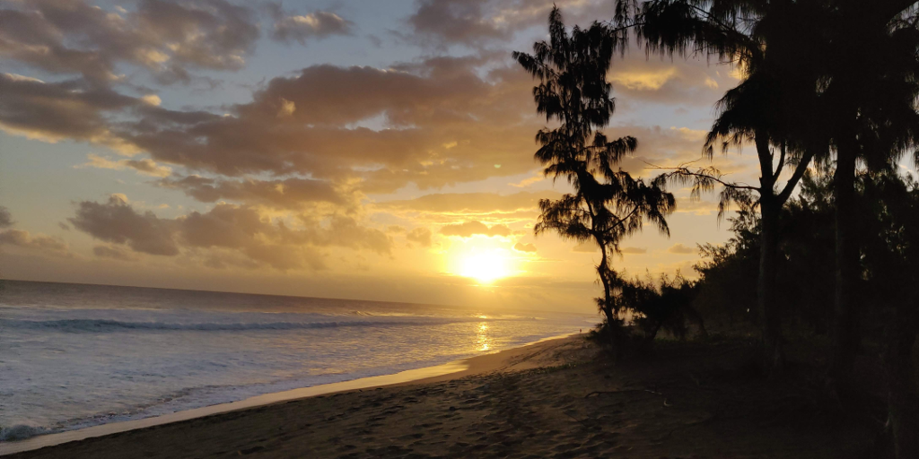 A beautiful sunset on the southern shore of Réunion ISland, after the ISland Biology 2019 conference