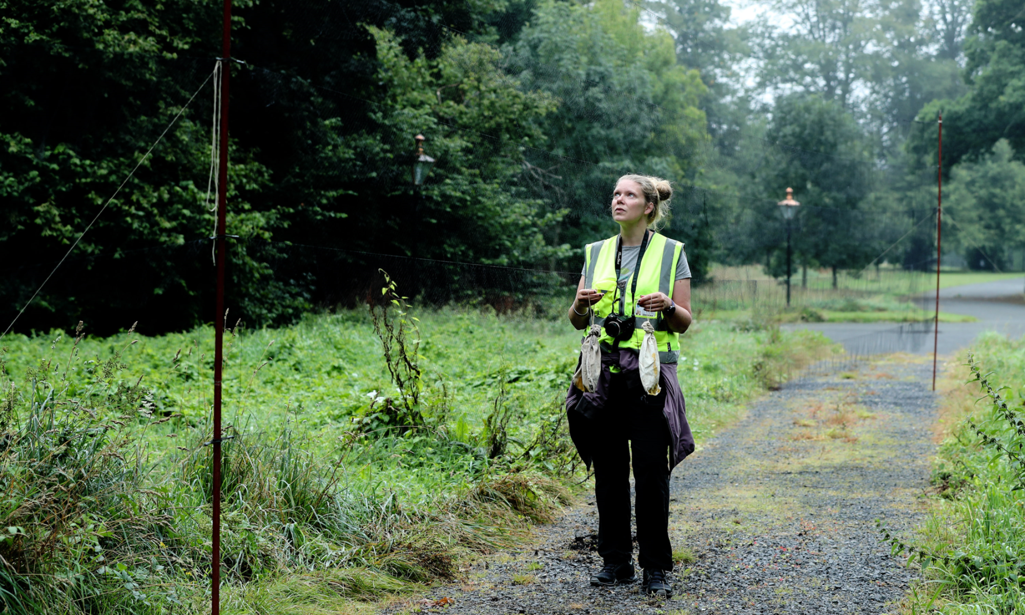 Dr. Aoibheann Gaughran pictured while bird netting in Áras an Uachtaráin as part of the biodiversity survey carried out by the TCD team of ecologists.