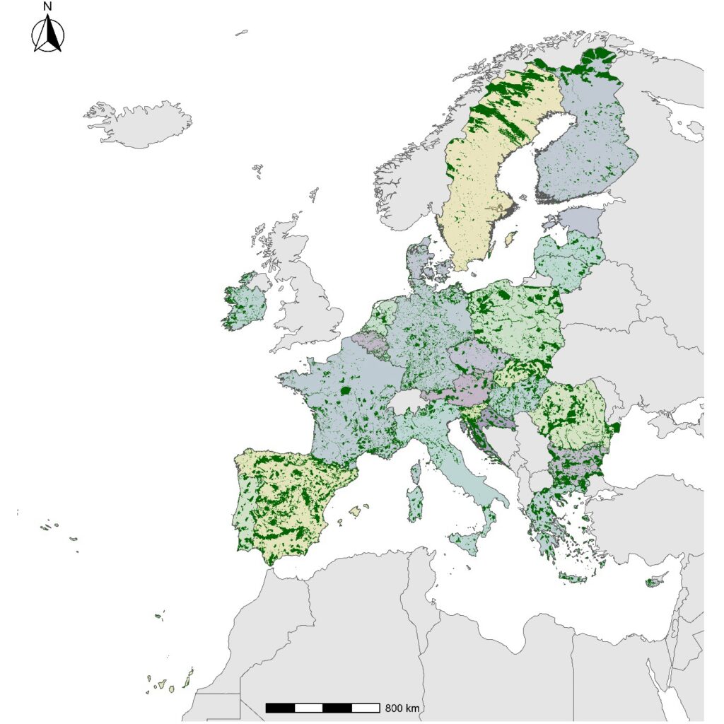 Map of the terrestrial Natura 2000 sites used in the study, shown in dark green colour.